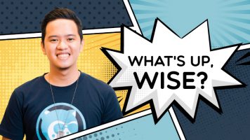 Shoppable Team Feature: Say hello to Wise!